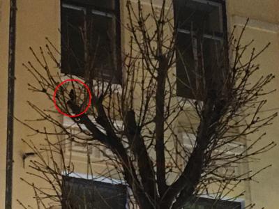 Прикрепленное изображение: IMG_1458-1.jpg